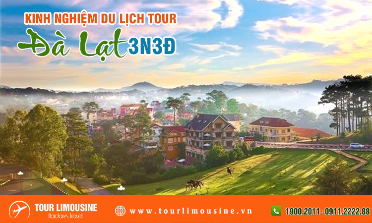 Kinh nghiệm đi tour Đà Lạt 3 ngày 3 đêm bằng xe Limousine 