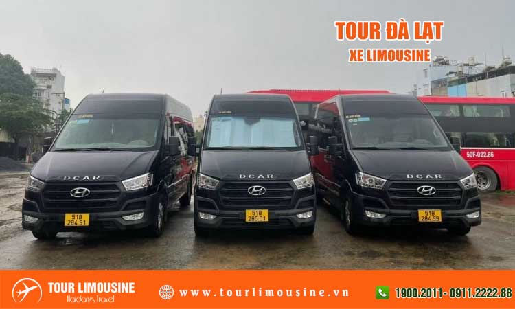 Tour Đà Lạt xe limousine