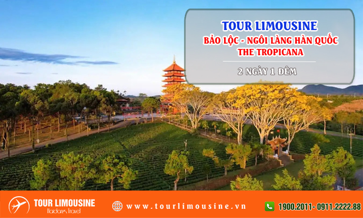 Tour Limousine Bảo Lộc Ngôi làng Hàn Quốc The Tropicana 2 ngày 1 đêm