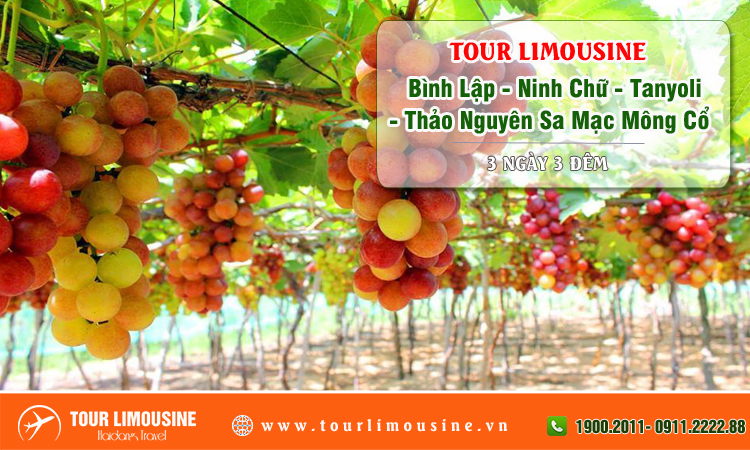 Tour Limousine Bình Lập Ninh Chữ Tanyoli Thảo Nguyên Sa Mạc Mông Cổ 3 ngày 3 đêm