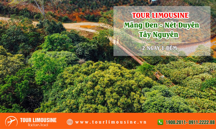 Tour Limousine Măng Đen Nét Duyên Tây Nguyên 3 Ngày 3 Đêm