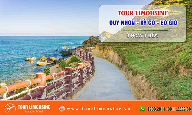 Tour Limousine Quy Nhơn Kỳ Co Eo Gió 3 ngày 3 đêm